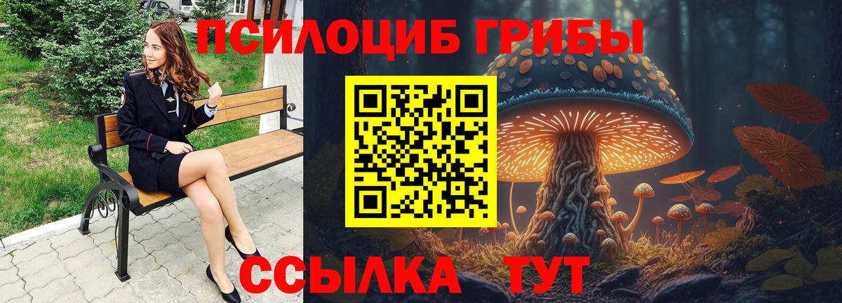 Белая Калитва  Галлюциногенные грибы Cubensis  Вход с VPN  Галлюциногенные грибы Psilocybine cubensis 