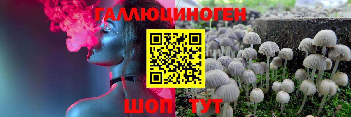 Псилоцибиновые грибы Psilocybine cubensis Белая Калитва